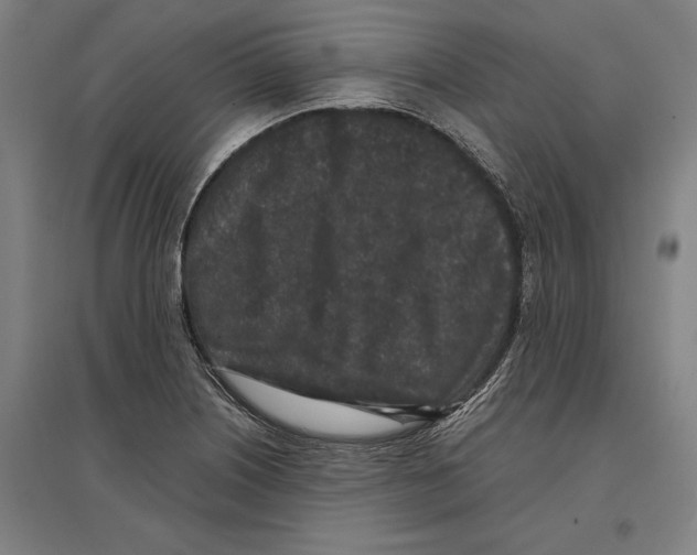 X0000096651226200803041142