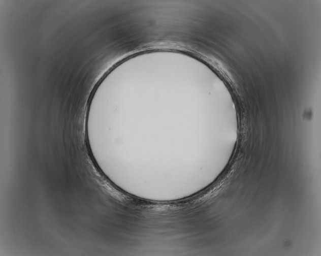 X0000096651228200803041142