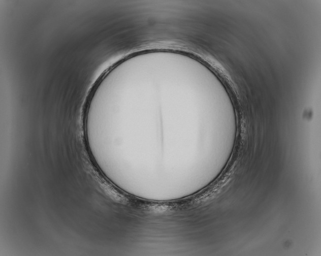 X0000096651230200803041142