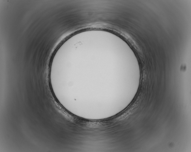 X0000096651232200803041142