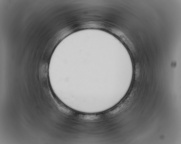 X0000096651233200803041142