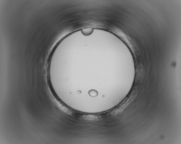 X0000096651235200803041142