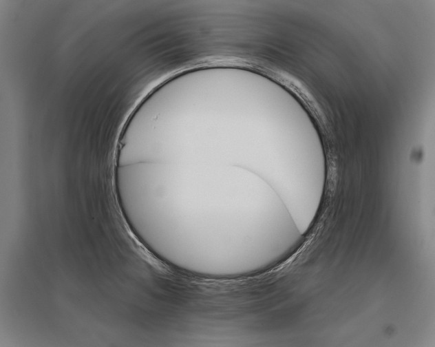 X0000096651236200803041142