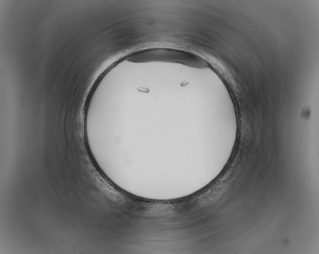 X0000096651238200803041142