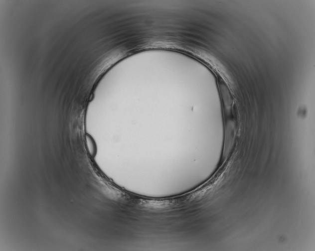 X0000096651241200803041142