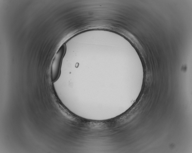 X0000096651242200803041142