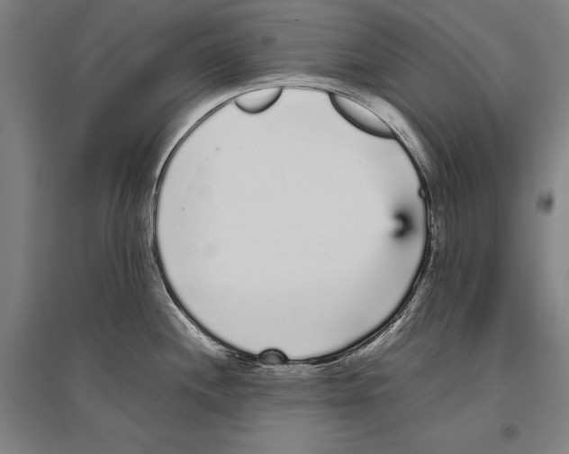 X0000096651244200803041142