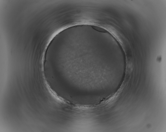 X0000096651246200803041142