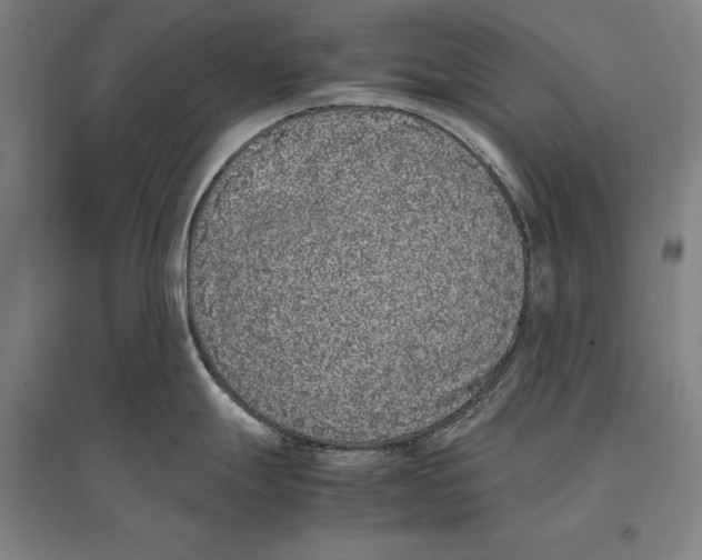 X0000096651247200803041142