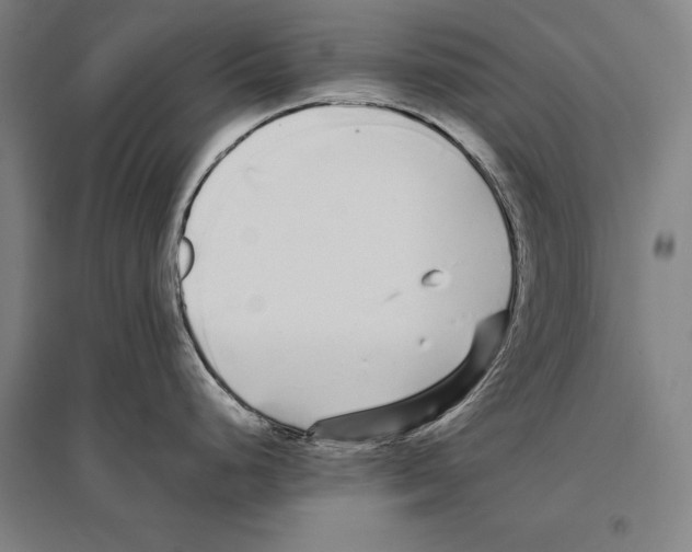 X0000096651248200803041142