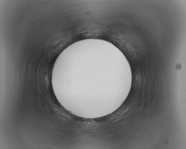 X0000096651250200803041142