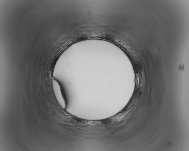 X0000096651251200803041142