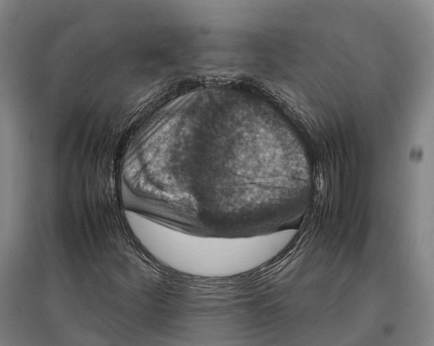 X0000096651252200803041142