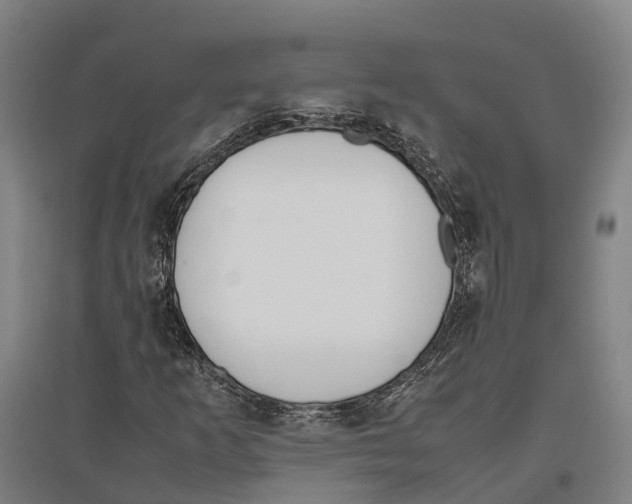 X0000096651253200803041142