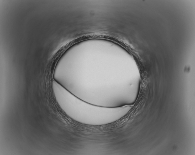 X0000096651255200803041142