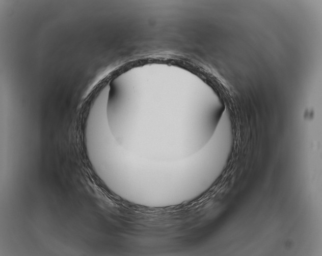 X0000096651256200803041142