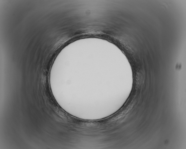 X0000096651257200803041142