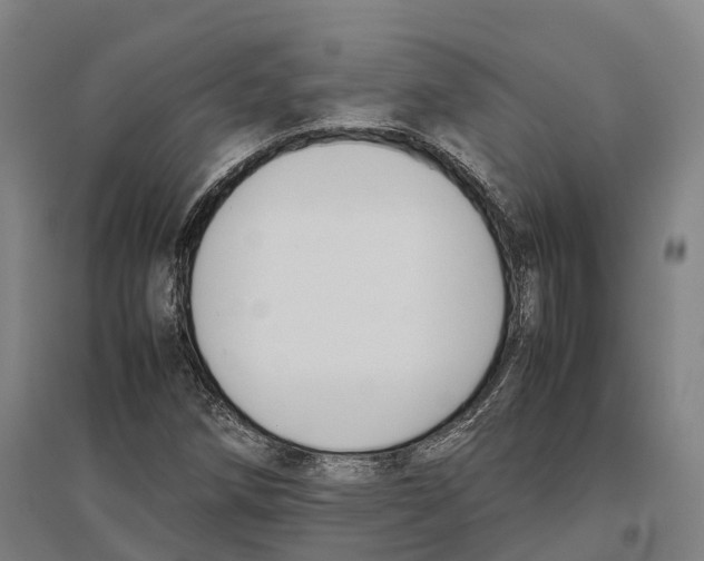 X0000096651258200803041142