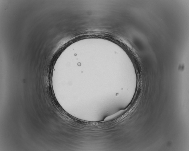 X0000096651259200803041142