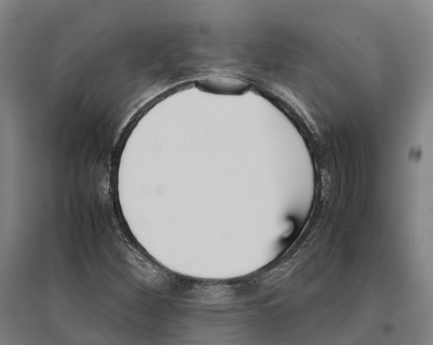 X0000096651260200803041142