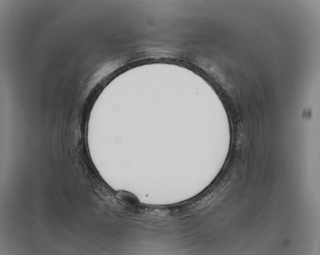 X0000096651261200803041142