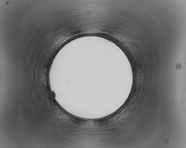 X0000096651265200803041141