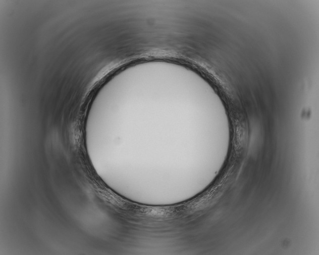 X0000096651266200803041141