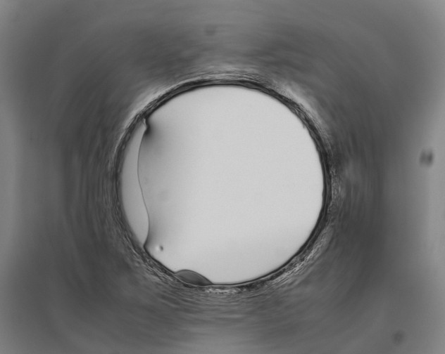 X0000096651267200803041141