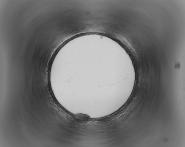 X0000096651268200803041141