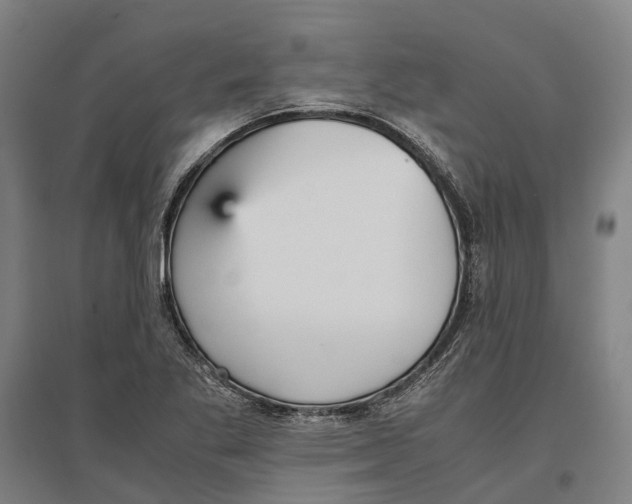 X0000096651269200803041141