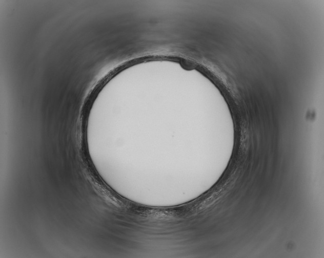 X0000096651270200803041141