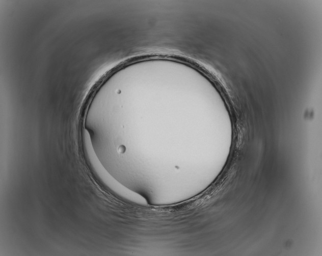 X0000096651271200803041141