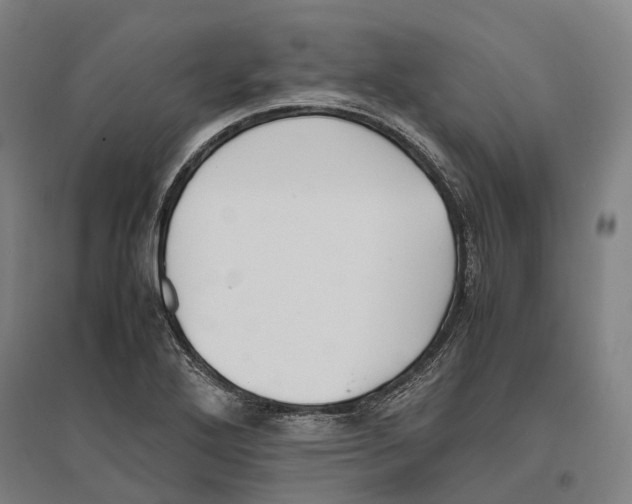 X0000096651272200803041141