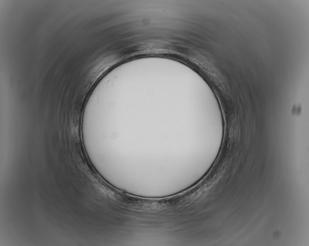 X0000096651273200803041141