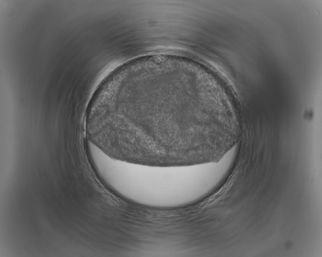 X0000096651275200803041141