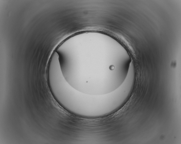 X0000096651276200803041141