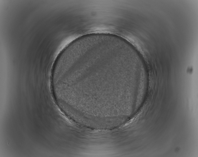 X0000096651277200803041141