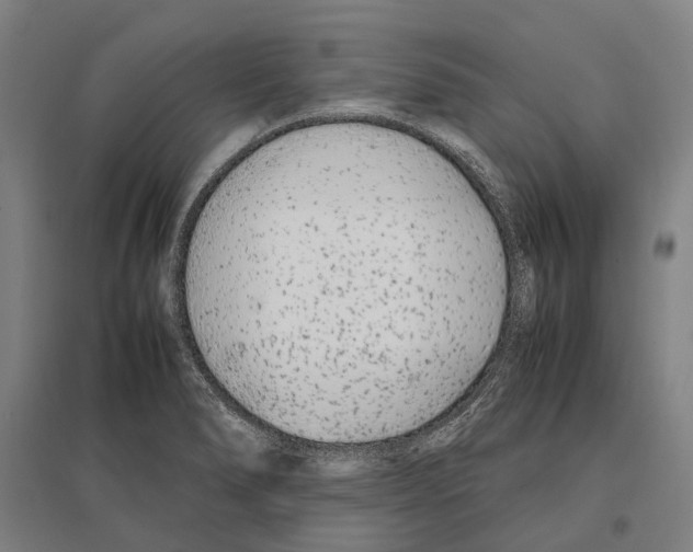 X0000096651278200803041141