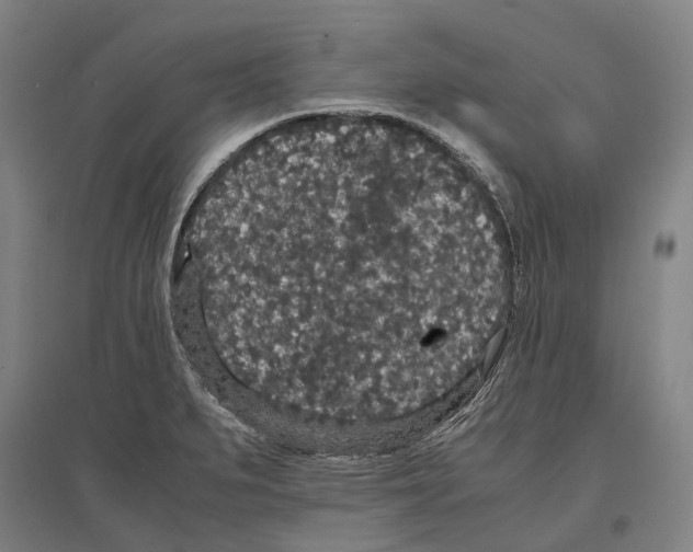 X0000096651279200803041141