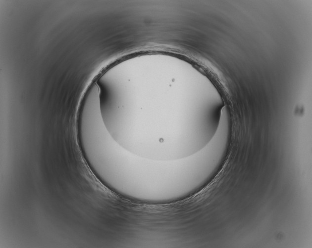 X0000096651280200803041141