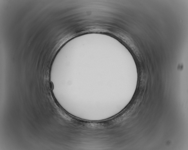 X0000096651281200803041141