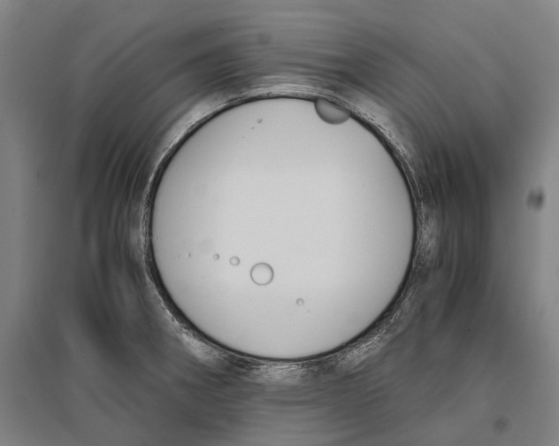 X0000096651282200803041141