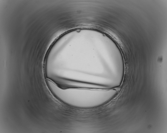 X0000096651283200803041141