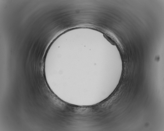 X0000096651284200803041141