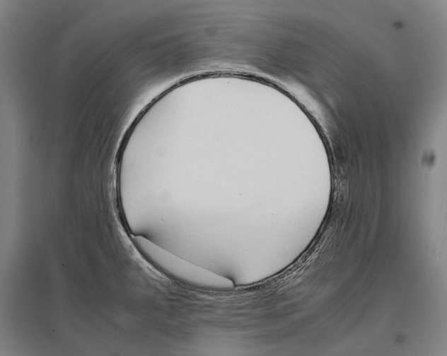 X0000096651287200803041141