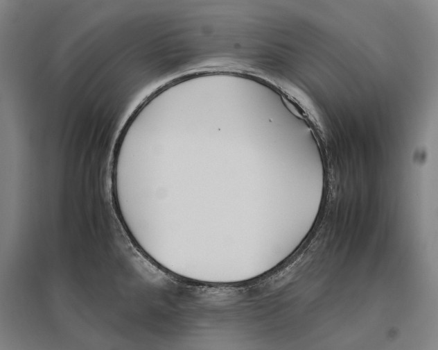 X0000096651288200803041141