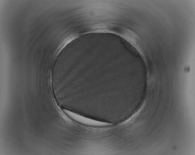 X0000096651289200803041141