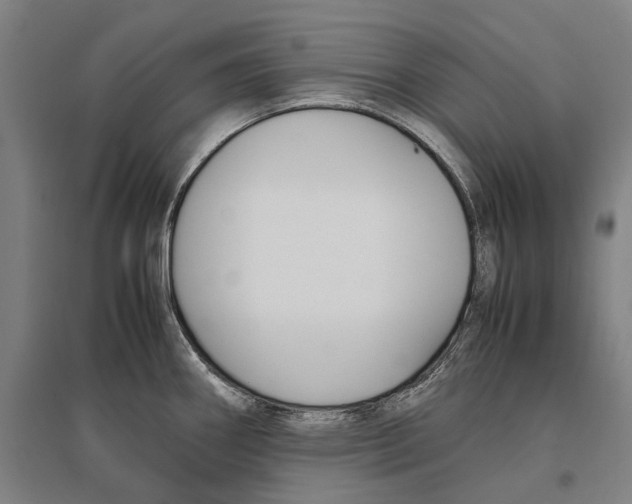 X0000096651290200803041141