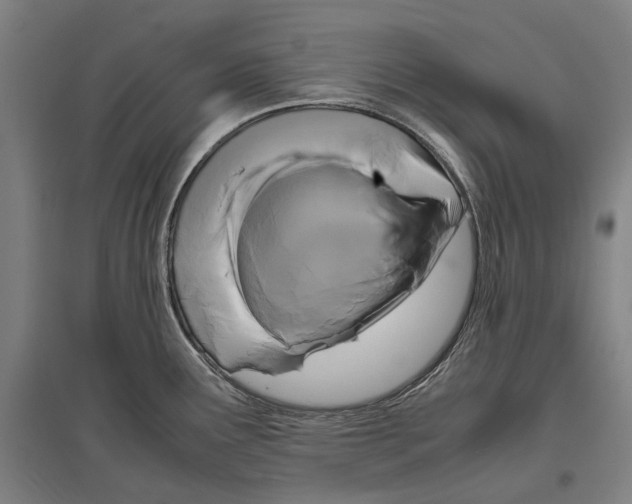 X0000096651291200803041141