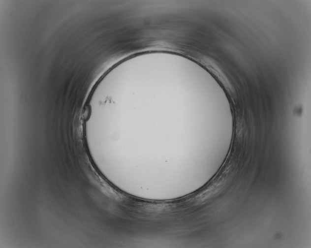 X0000096651292200803041141